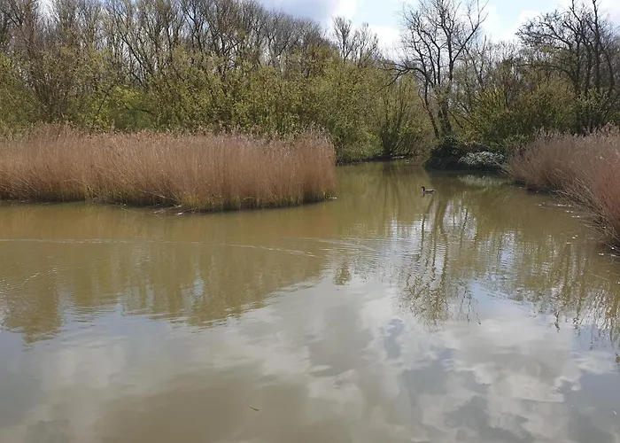 Raversijde With Seaview